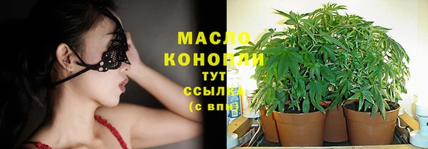 стаф Бородино