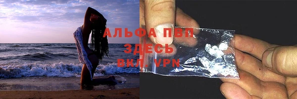 стаф Бородино
