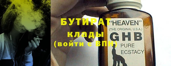 стаф Бородино