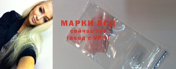 стаф Бородино