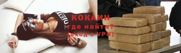 стаф Бородино