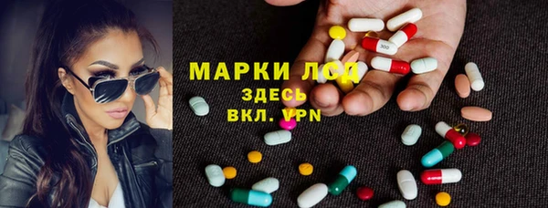 стаф Бородино