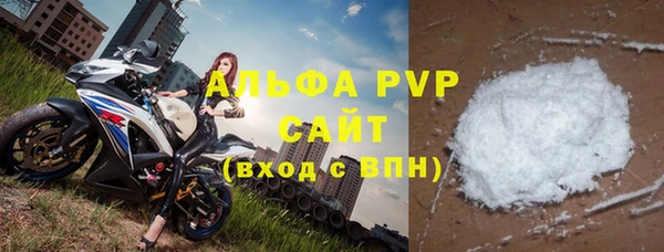 стаф Бородино