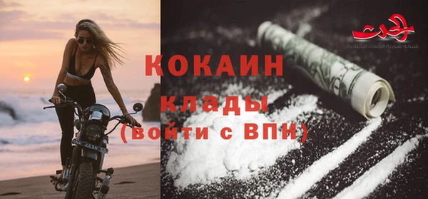 стаф Бородино