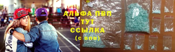 стаф Бородино