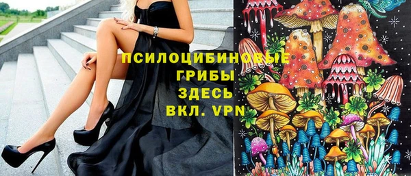 Альфа ПВП Бугульма